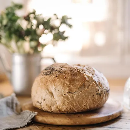 Giarola 25.2 Cittanova (Modena)