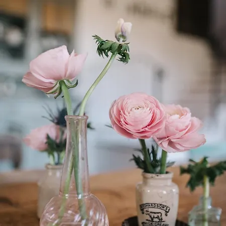 Bed & Breakfast Giarola 25.2 Cittanova (Modena)