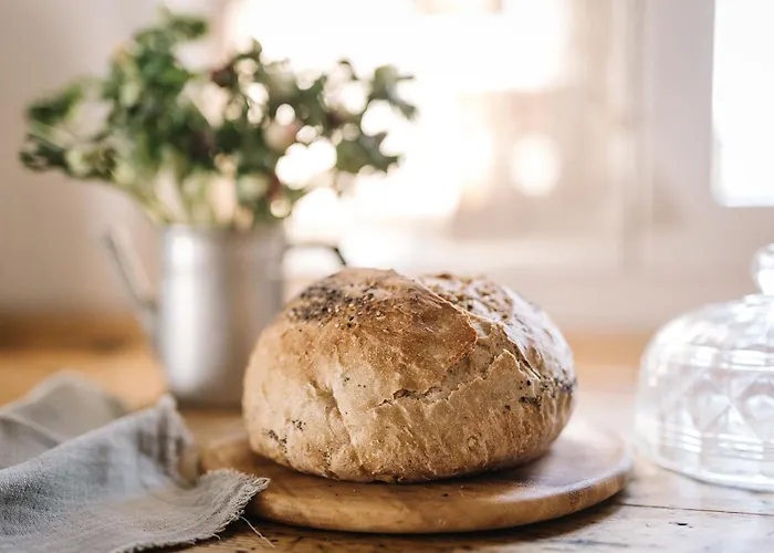 Giarola 25.2 Cittanova (Modena)