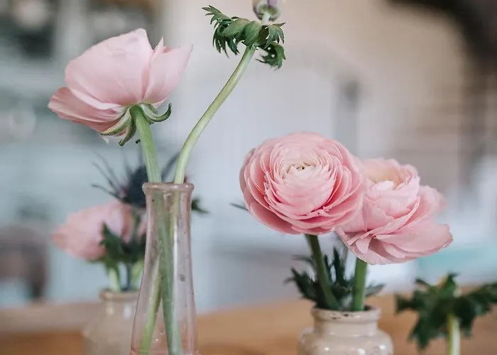 Frühstückspension Giarola 25.2 Cittanova (Modena)